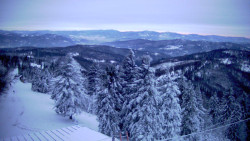 Lalíky vrcholová stanice