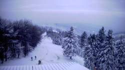 Lalíky vrcholová stanice