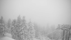 Lalíky vrcholová stanice