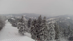 Lalíky vrcholová stanice