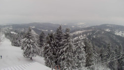 Lalíky vrcholová stanice