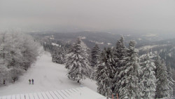 Lalíky vrcholová stanice