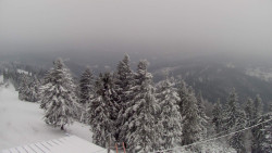 Lalíky vrcholová stanice