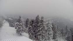 Lalíky vrcholová stanice