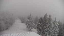 Lalíky vrcholová stanice