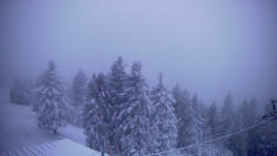 Lalíky vrcholová stanice