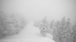 Lalíky vrcholová stanice