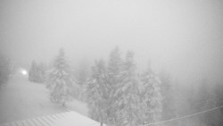 Lalíky vrcholová stanice