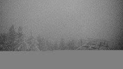 Lalíky vrcholová stanice