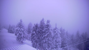 Snowparadise Veľká Rača - Lalíky vrcholová stanice - 8.1.2026 v 07:30 Snowparadise Veľká Rača - Lalíky vrcholová stanice - 8.1.2026 v 07:30