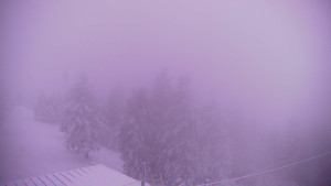 Snowparadise Veľká Rača - Lalíky vrcholová stanice - 8.1.2026 v 08:00 Snowparadise Veľká Rača - Lalíky vrcholová stanice - 8.1.2026 v 08:00