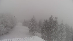 Lalíky vrcholová stanice