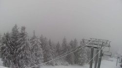 Lalíky vrcholová stanice