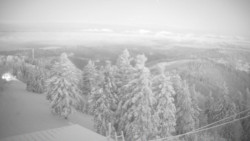 Lalíky vrcholová stanice