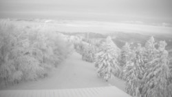 Lalíky vrcholová stanice