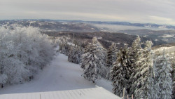 Lalíky vrcholová stanice