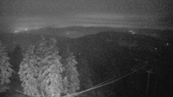 Lalíky vrcholová stanice