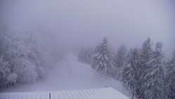 Lalíky vrcholová stanice