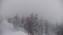 Lalíky vrcholová stanice