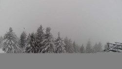 Lalíky vrcholová stanice