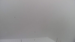 Lalíky vrcholová stanice