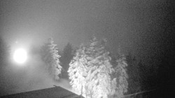 Lalíky vrcholová stanice