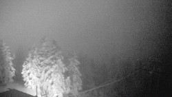 Lalíky vrcholová stanice