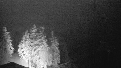 Lalíky vrcholová stanice