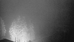 Lalíky vrcholová stanice