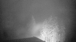 Lalíky vrcholová stanice