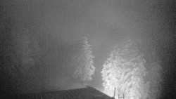 Lalíky vrcholová stanice