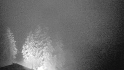 Lalíky vrcholová stanice