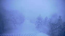 Lalíky vrcholová stanice