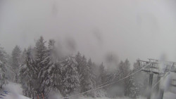 Lalíky vrcholová stanice