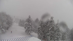 Lalíky vrcholová stanice