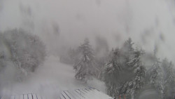 Lalíky vrcholová stanice