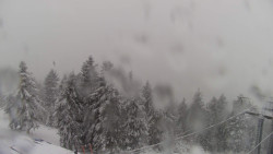 Lalíky vrcholová stanice