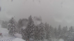 Lalíky vrcholová stanice