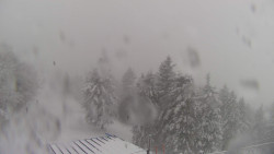 Lalíky vrcholová stanice