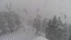 Lalíky vrcholová stanice