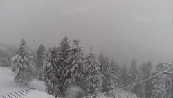 Lalíky vrcholová stanice