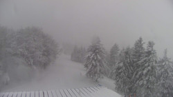 Lalíky vrcholová stanice