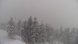 Lalíky vrcholová stanice