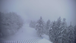 Lalíky vrcholová stanice