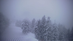 Lalíky vrcholová stanice