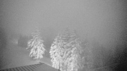 Lalíky vrcholová stanice