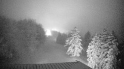 Lalíky vrcholová stanice