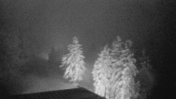 Lalíky vrcholová stanice