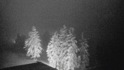 Lalíky vrcholová stanice