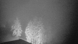 Lalíky vrcholová stanice